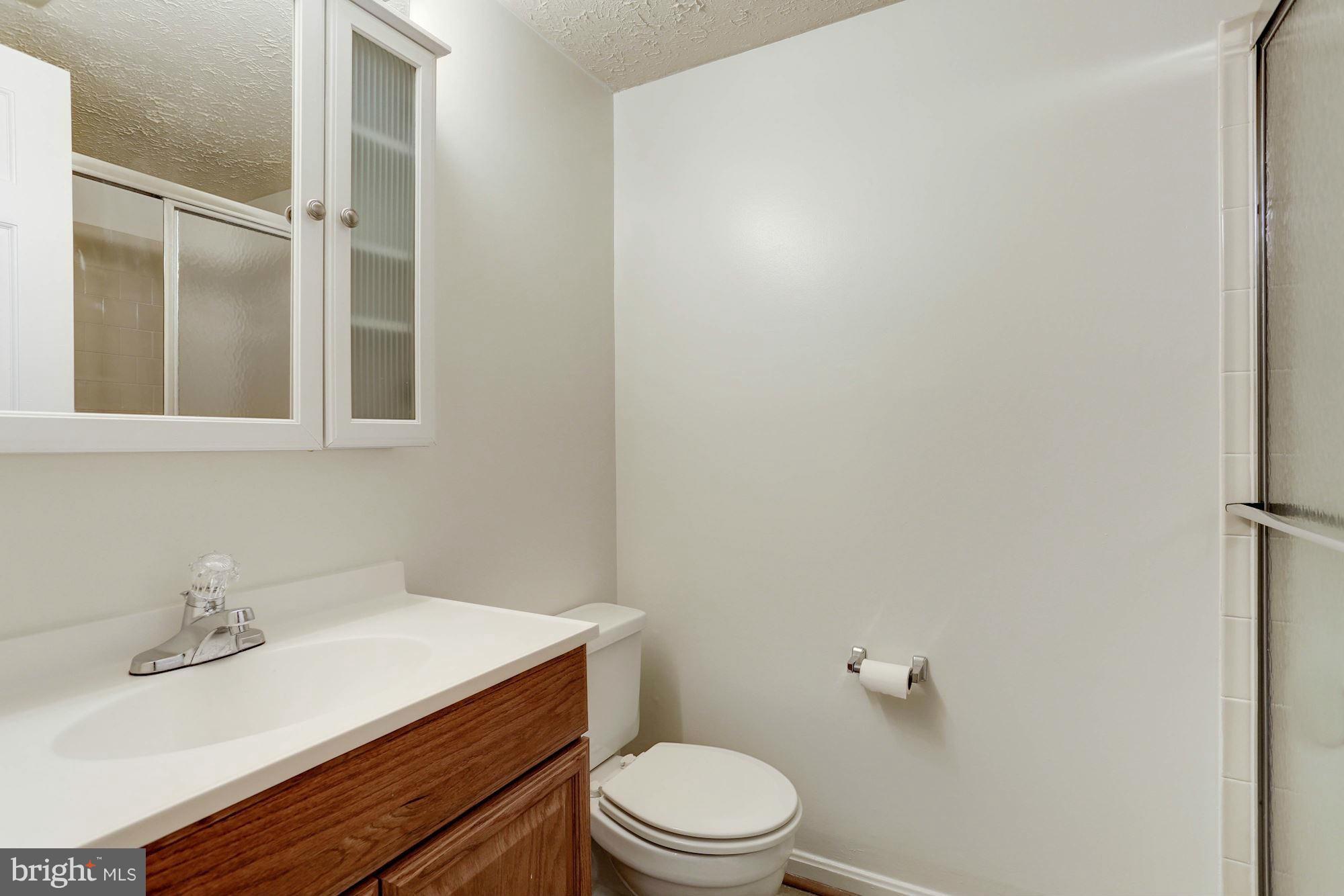 11317 Crescendo Place Silver Spring, MD 20901 - Photo 20 of 23 Full Basement Bath