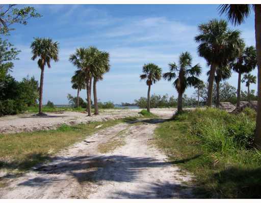 110 South Sewalls Point Road Sewall's Point, FL 34996 - Photo 6 of 6 a view of a yard