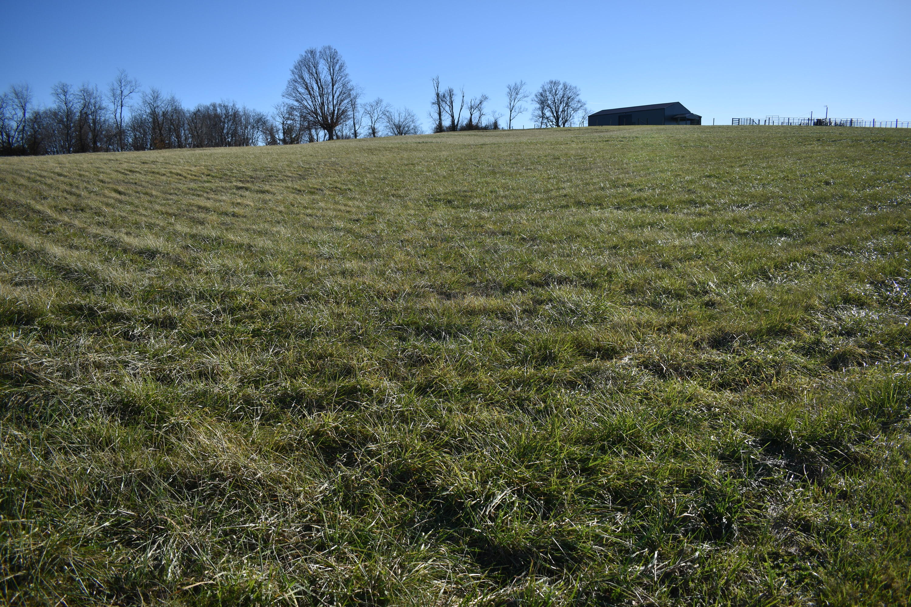 0 Woodlake Road Stamping Ground, KY 40379 - Photo 5 of 5 DSC_0388