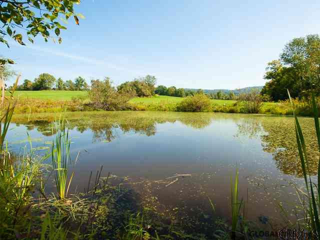 0 Mccart Road Eagle Bridge, NY 12057 - Photo 14 of 15 Photo 14