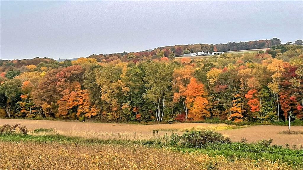 1059 Scrubgrass Road Mercer, PA 16137 - Photo 21 of 25