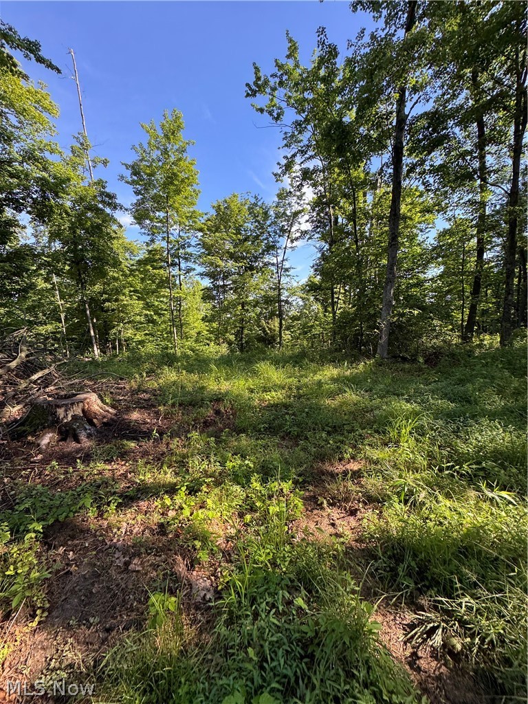 Stone Quarry Road Danville, OH 43014 - Photo 44 of 50