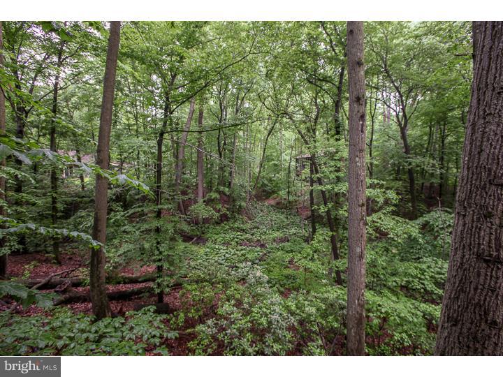 47 Springhill Road Mantua, NJ 08051 - Photo 23 of 25 Back Yard