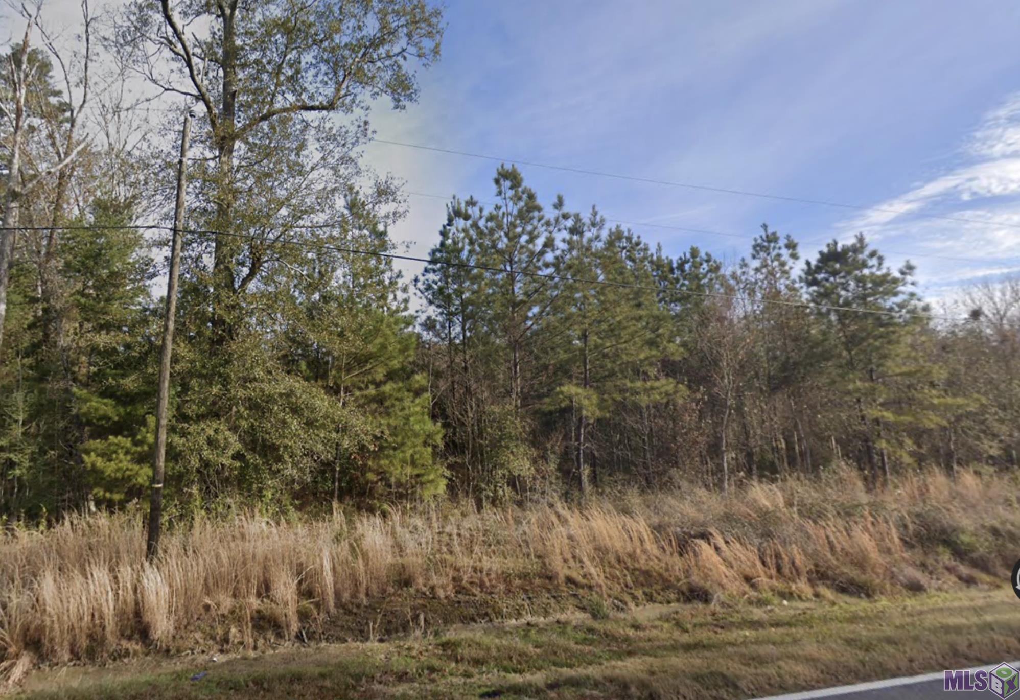 19759 Pride-Baywood Road Greenwell Springs, LA 70739 - Photo 4 of 4