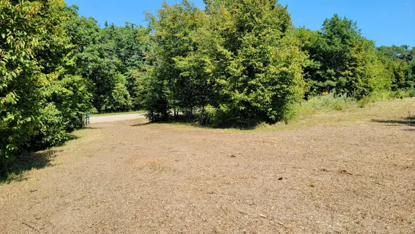 $19,750 | 27731 400th Street, Browerville, MN 56438