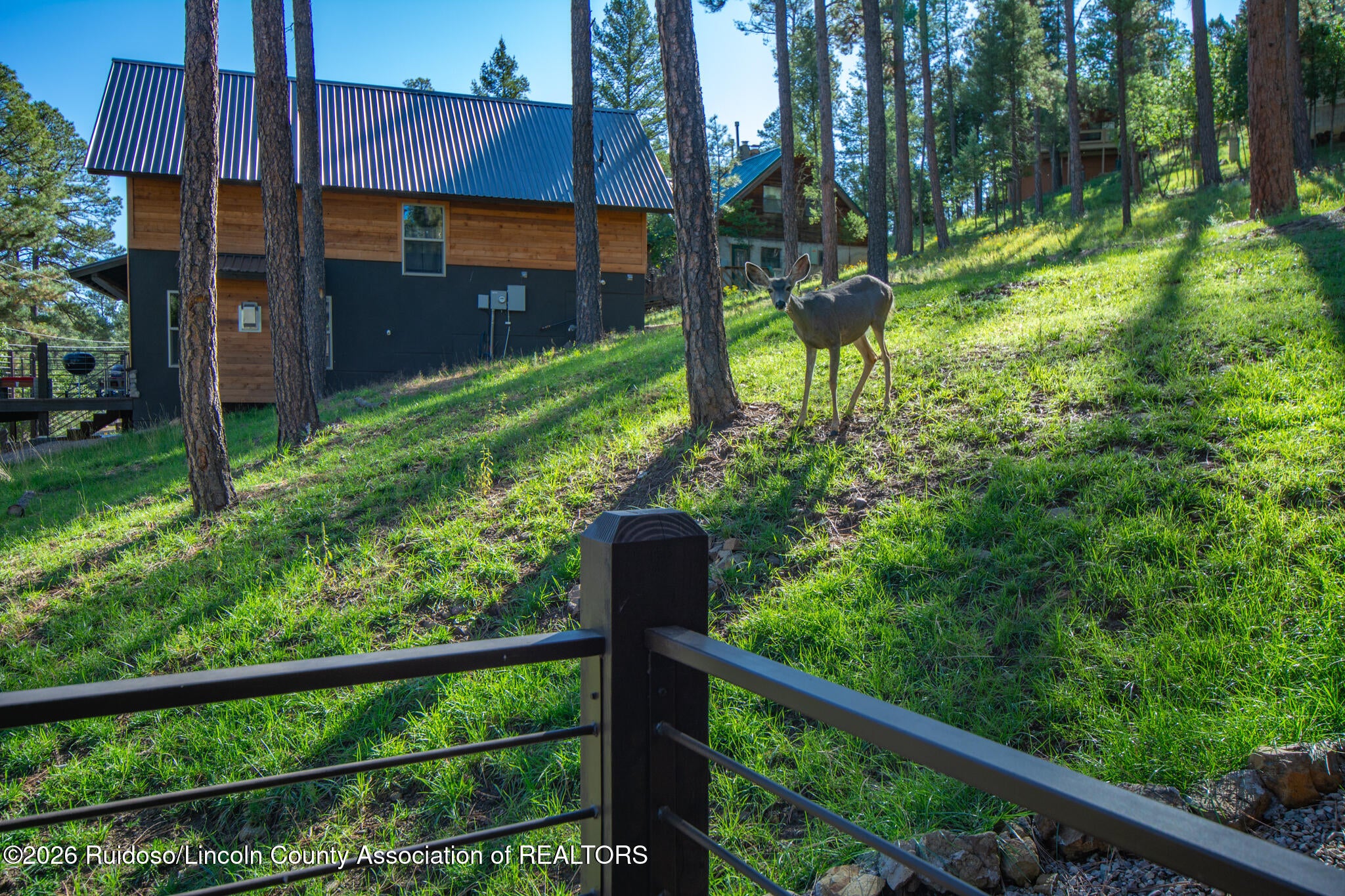 115 Apache Hills Drive Ruidoso, NM 88345 - Photo 103 of 162 Gallery Image 103