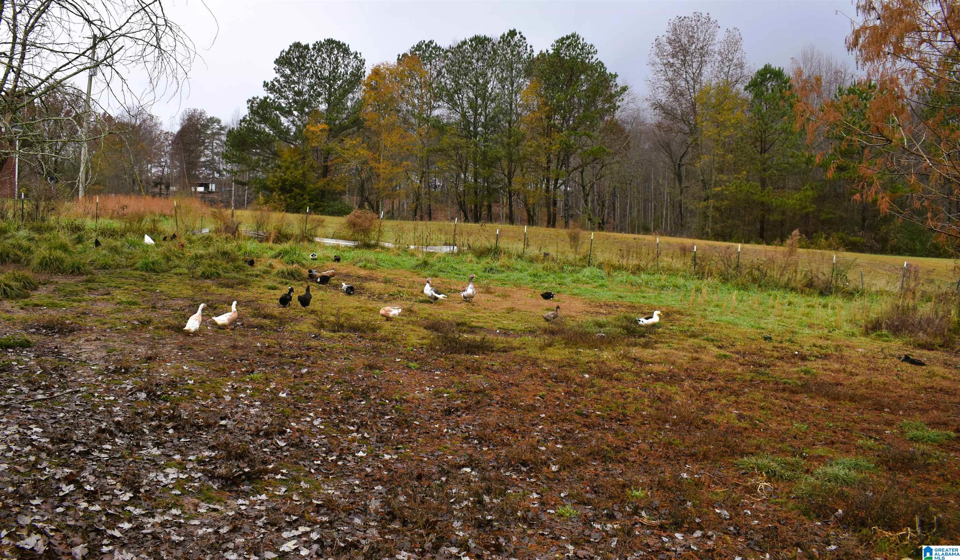 701 Cemetary Road Holly Pond, AL 35083 - Photo 30 of 31