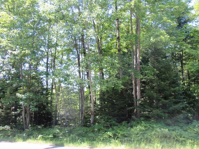 On McPeak Road Conover, WI 54519 - Photo 16 of 18 Gallery Image 16