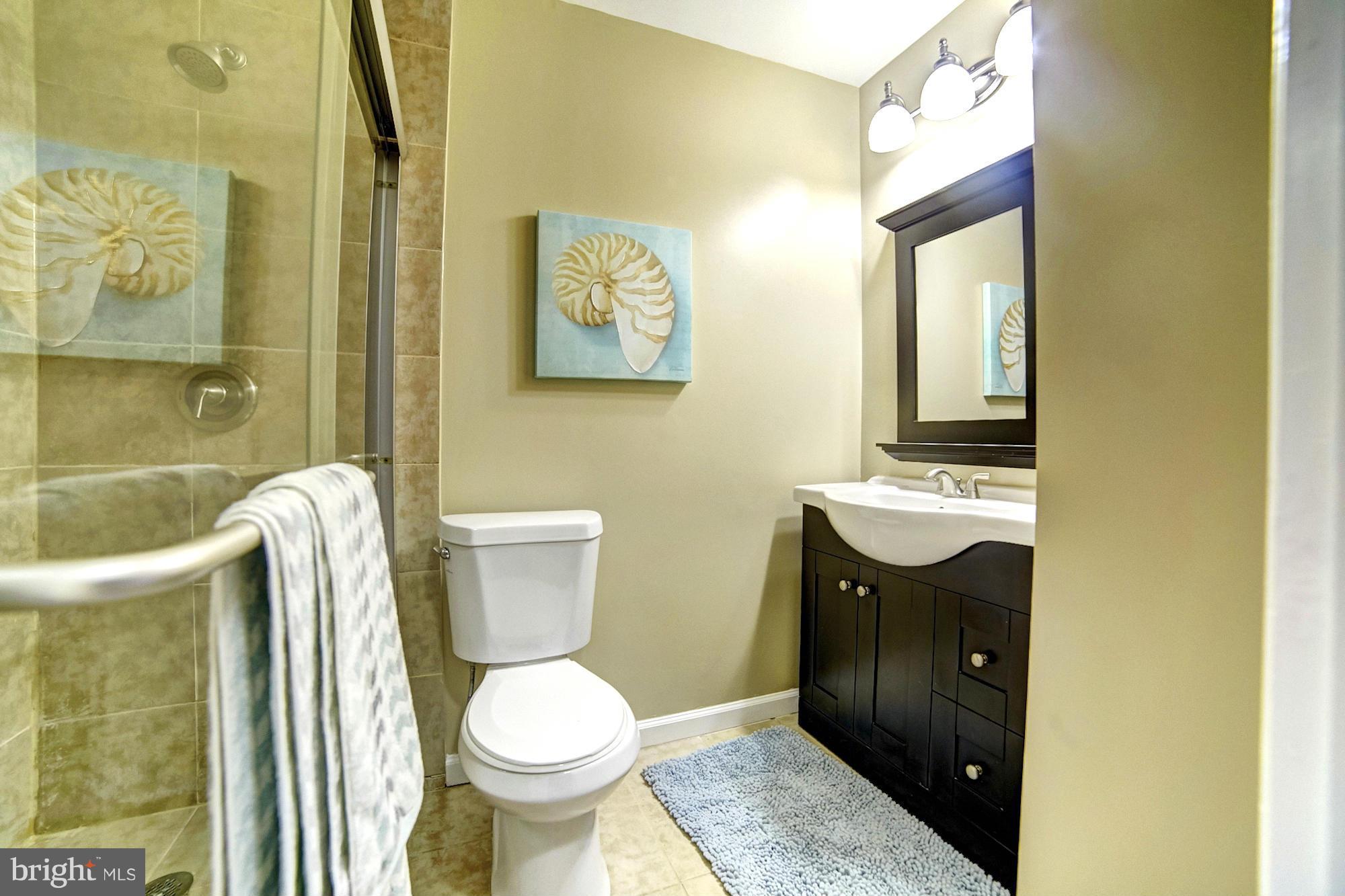 8248 Vosges Road Baltimore, MD 21244 - Photo 16 of 23 Hall Bath with Euro Vanity