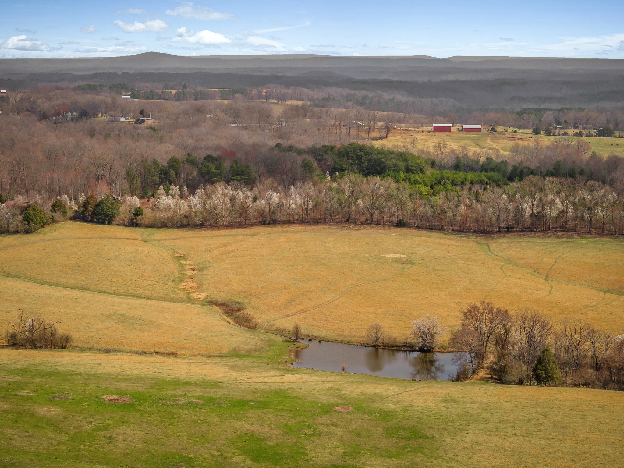 0 Creek Road Smithville, TN 37166 - Photo 17 of 46 Gallery Image 17