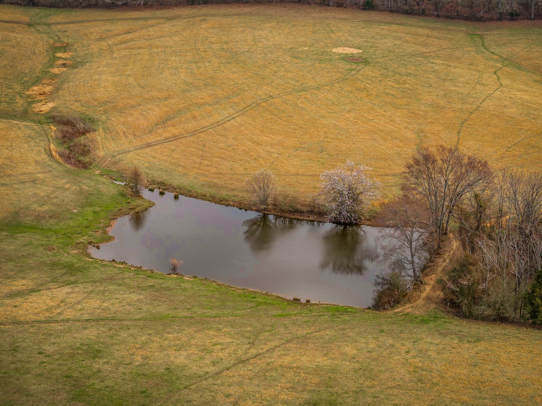0 Creek Road Smithville, TN 37166 - Photo 18 of 46 Gallery Image 18