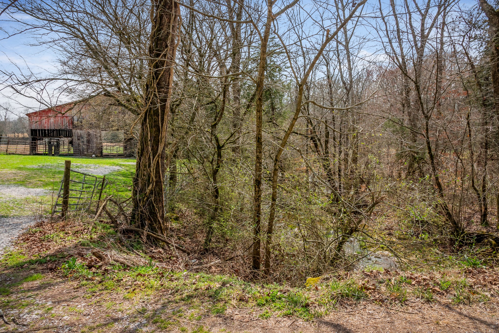 0 Creek Road Smithville, TN 37166 - Photo 29 of 46 Gallery Image 29