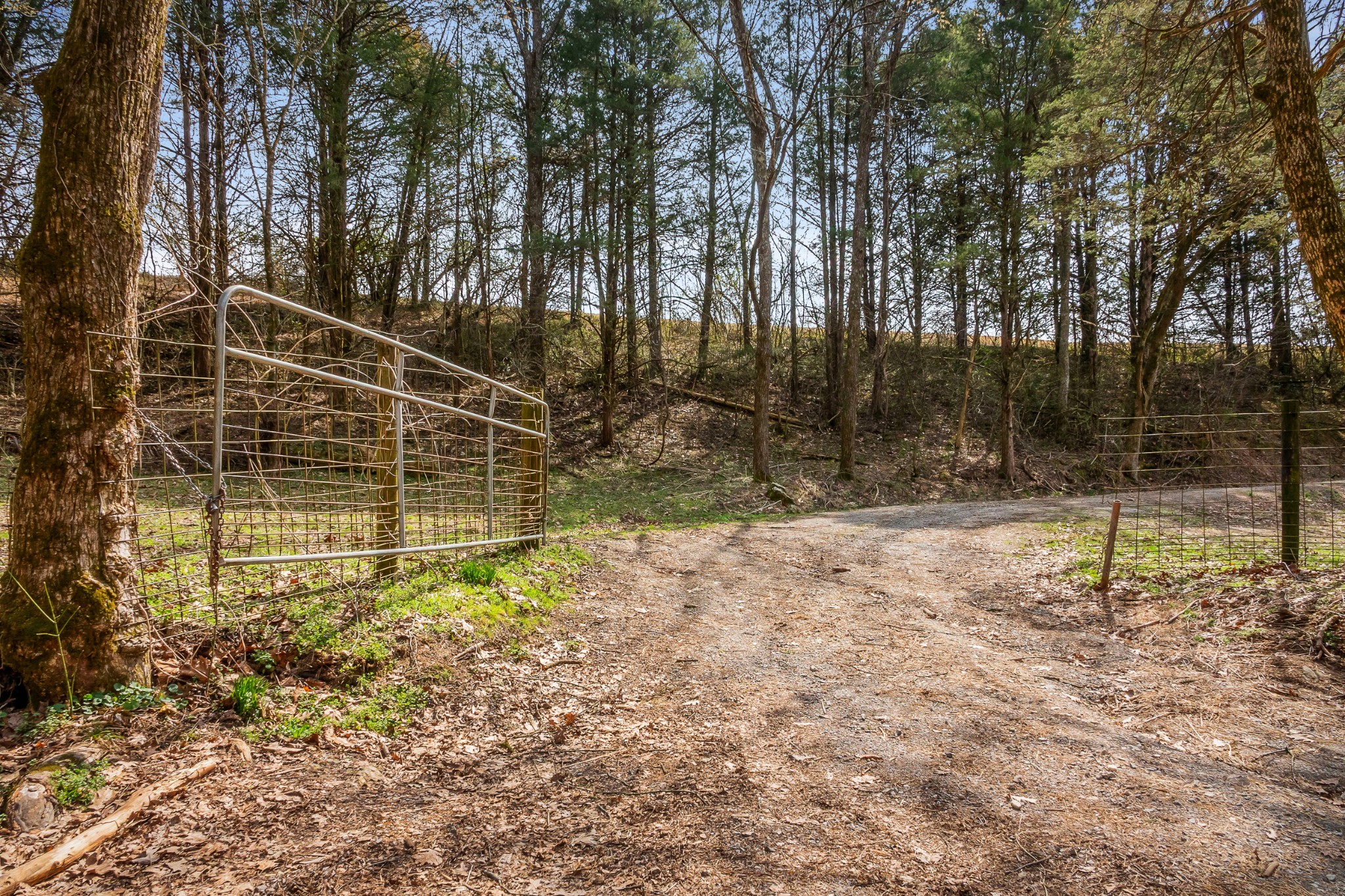 0 Creek Road Smithville, TN 37166 - Photo 40 of 46 Gallery Image 40