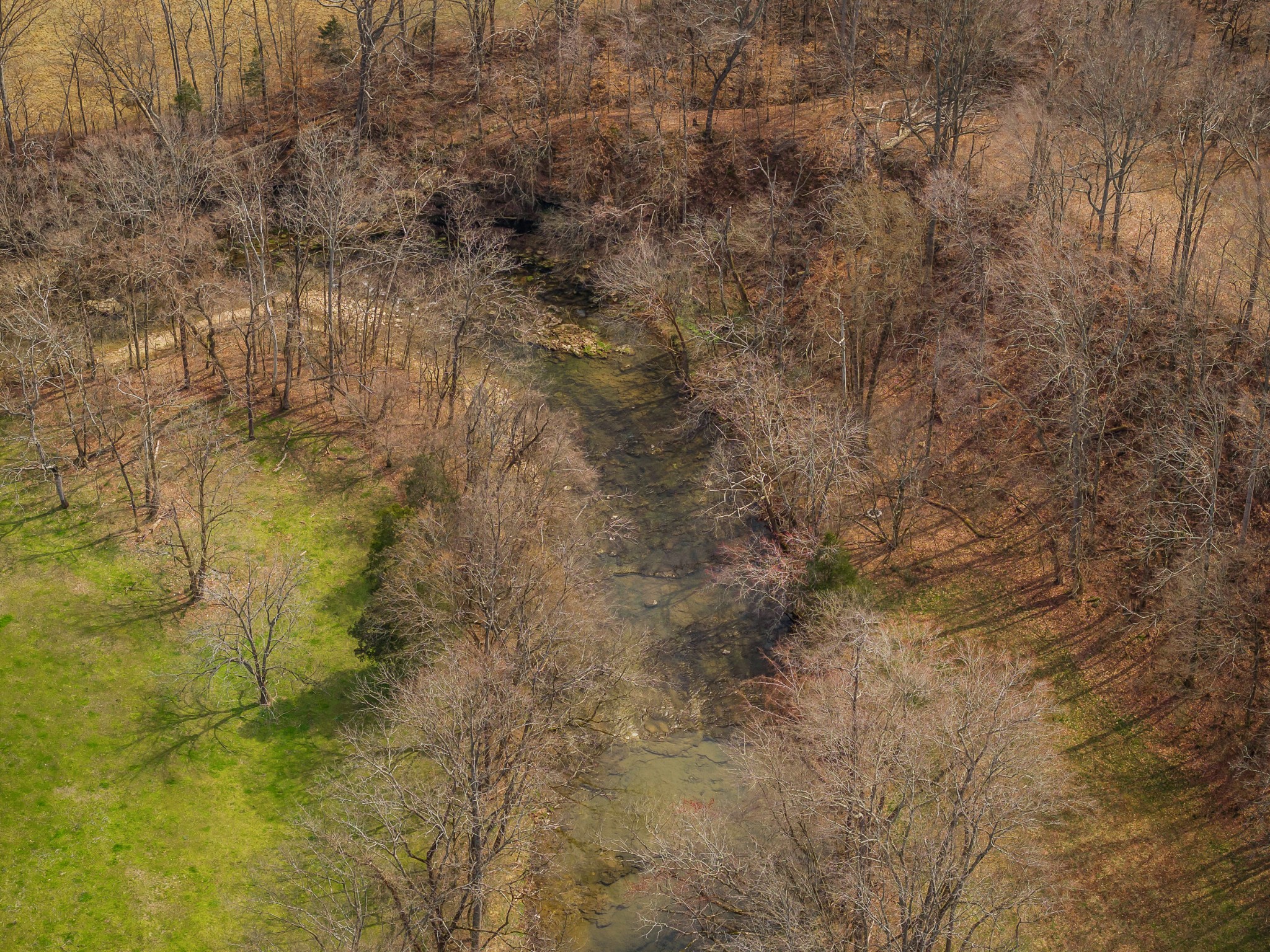 0 Creek Road Smithville, TN 37166 - Photo 8 of 46 Gallery Image 8