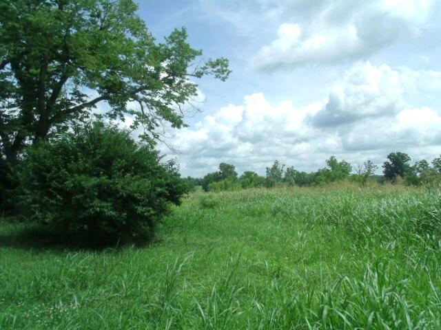 812 Peytona Beach Road Waddy, KY 40076 - Photo 81 of 166 Peytona Beach Waddy ky July 2021 046