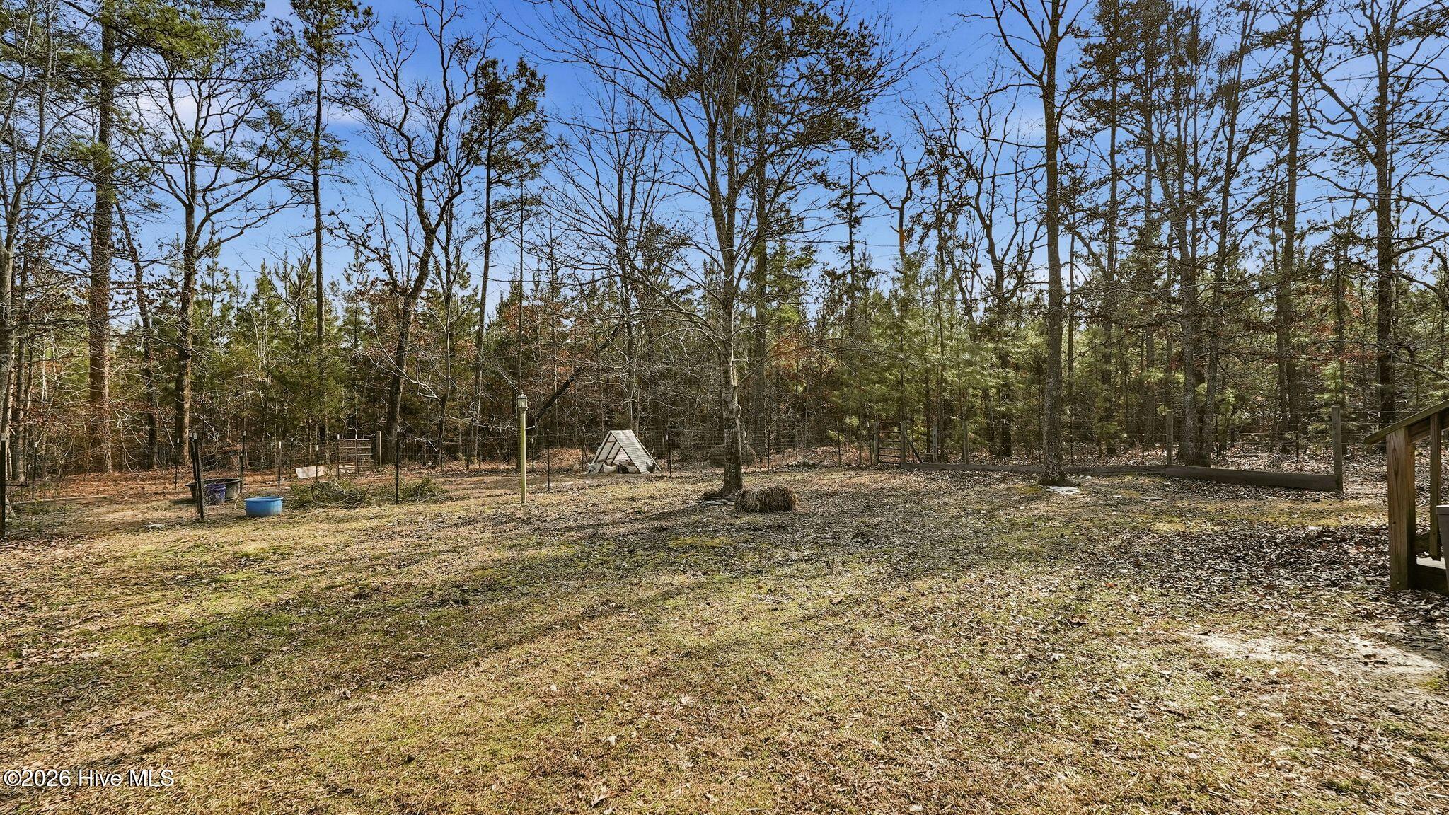 260 Lick Creek Road Carthage, NC 28327 - Photo 24 of 40 24_DSC07272 copy