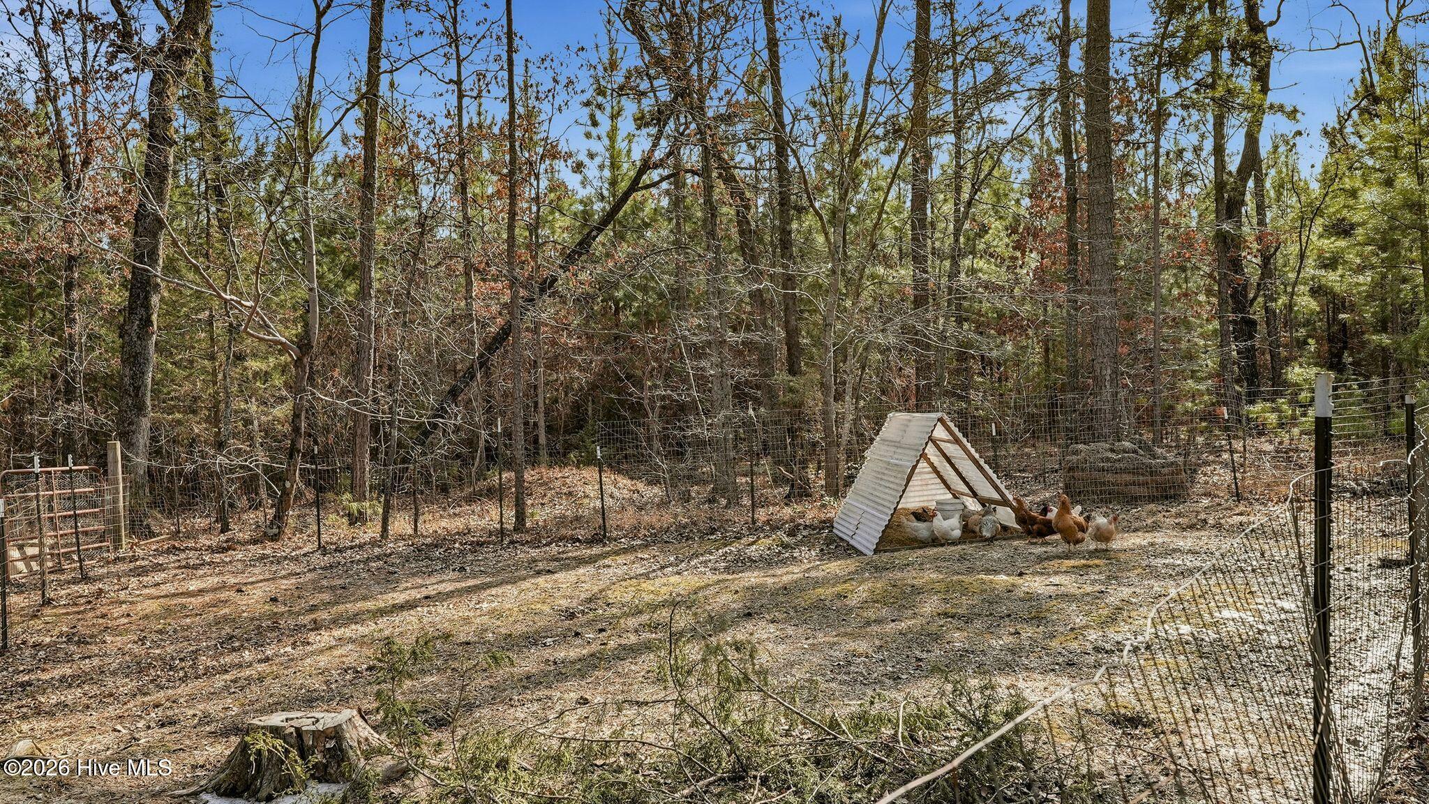 260 Lick Creek Road Carthage, NC 28327 - Photo 25 of 40 25_DSC07277 copy