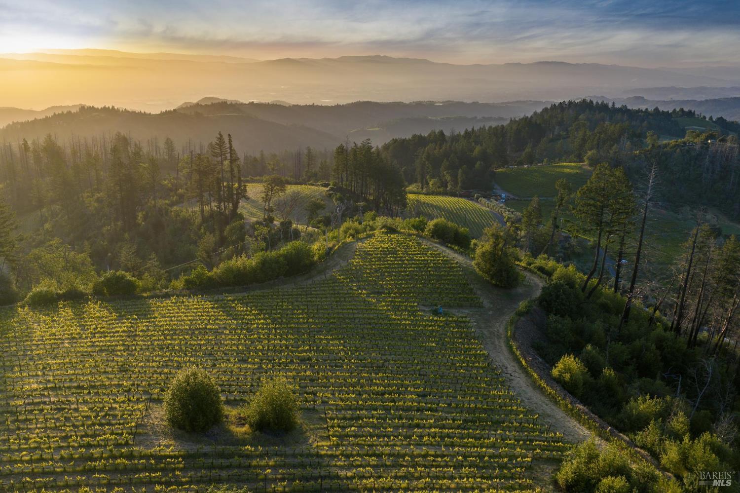 3801 Mt Veeder Road Napa, CA 94558 - Photo 1 of 22
