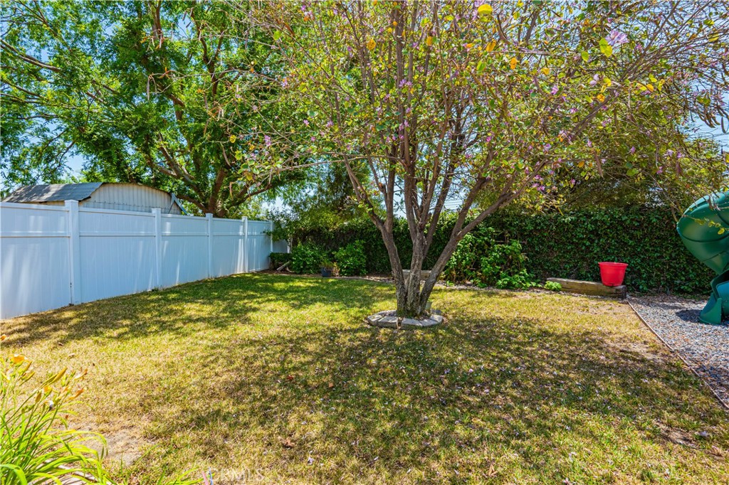 27571 Cabrillo Drive Menifee, CA 92586 - Photo 30 of 56 a view of backyard with tree
