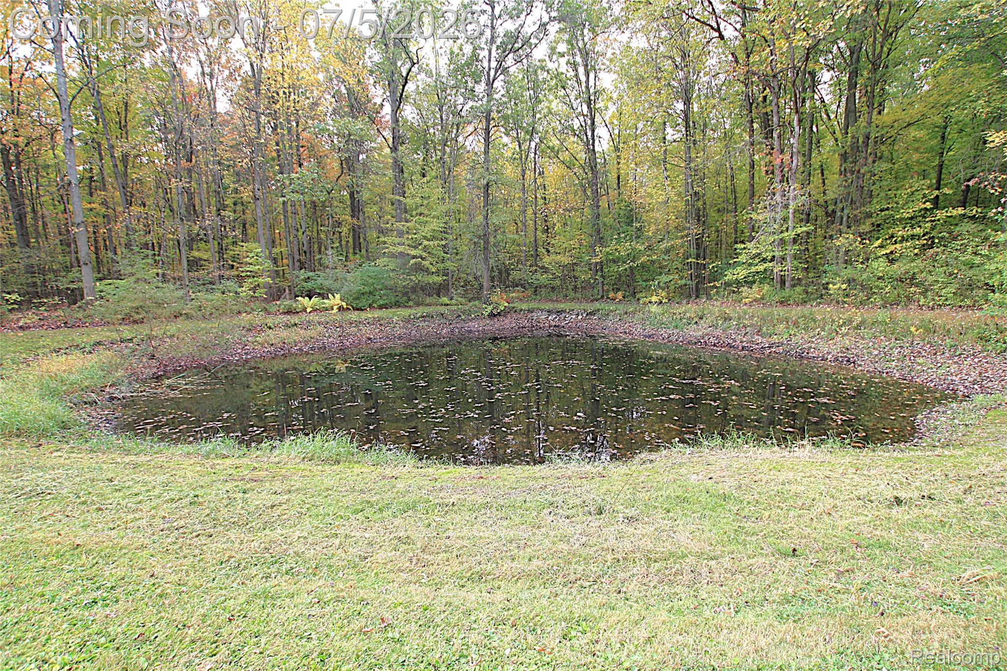 12403 Willard Road Montrose, MI 48457 - Photo 11 of 30 View of green lawn