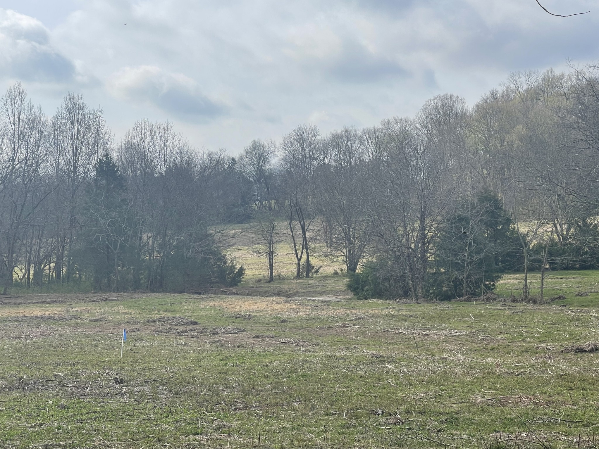 0 Sadler Road Liberty, TN 37095 - Photo 3 of 6 a view of outdoor space with deck and yard