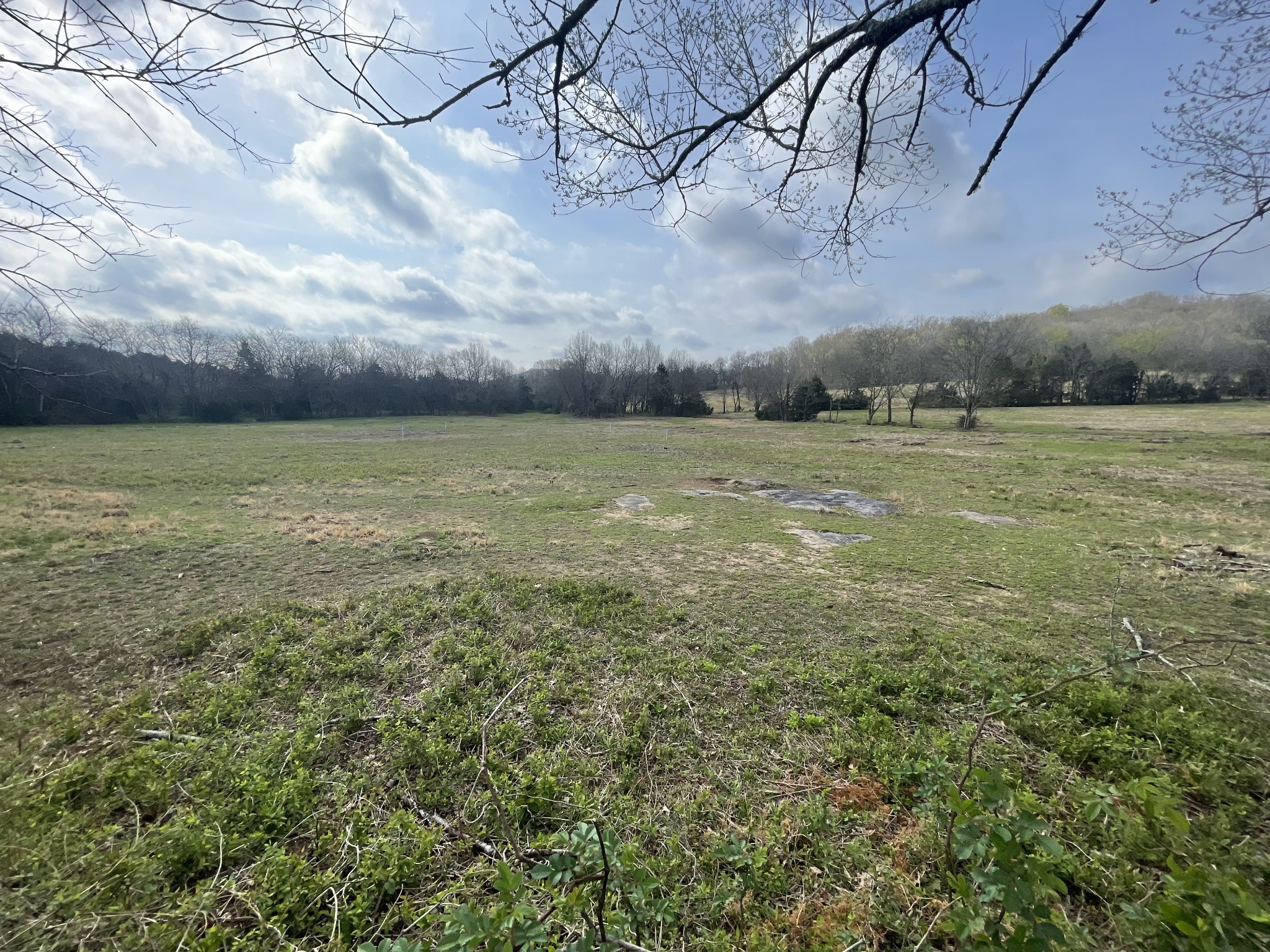 0 Sadler Road Liberty, TN 37095 - Photo 4 of 6 a view of a field with an trees