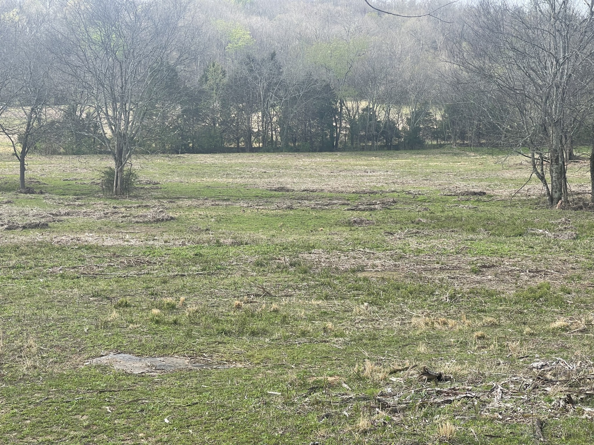 0 Sadler Road Liberty, TN 37095 - Photo 6 of 6