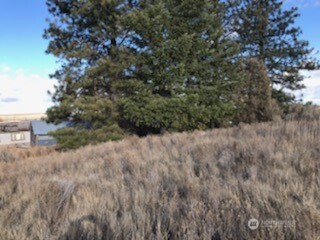 39680-5 Star Barn Road North Davenport, WA 99122 - Photo 4 of 7 a view of a dry yard