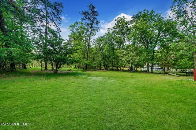 a view of green field