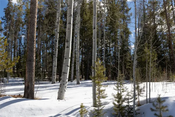 a view of swimming pool and brick wall