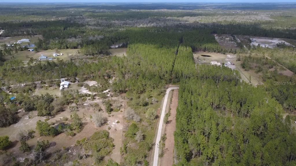 Wild Cur Road Pierson, FL 32180 - Photo 15 of 25