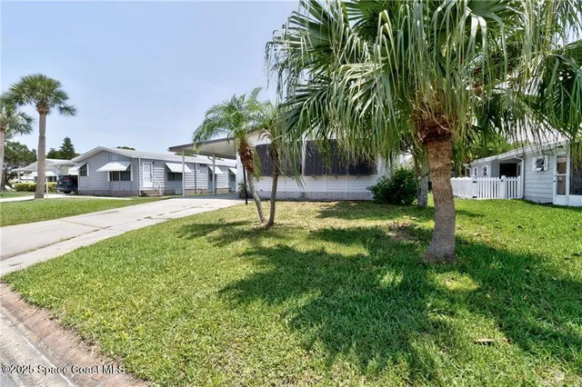 a view of a house with a yard and palm tree