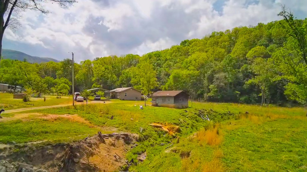 3325 Pack Mountain Road Murphy, NC 28906 - Photo 6 of 69