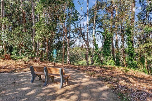 a view of a chairs and table in the backyard