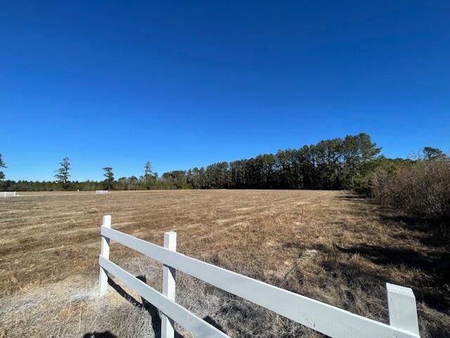 10 Rambling Lane Cross, SC 29436 - Photo 14 of 14 IMG_6460