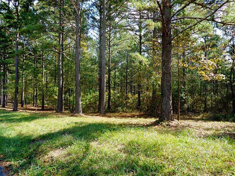 Lot 3 Macedonia Road White, GA 30184 - Photo 1 of 1 Other.
