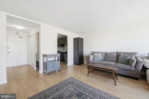 a living room with furniture and a rug