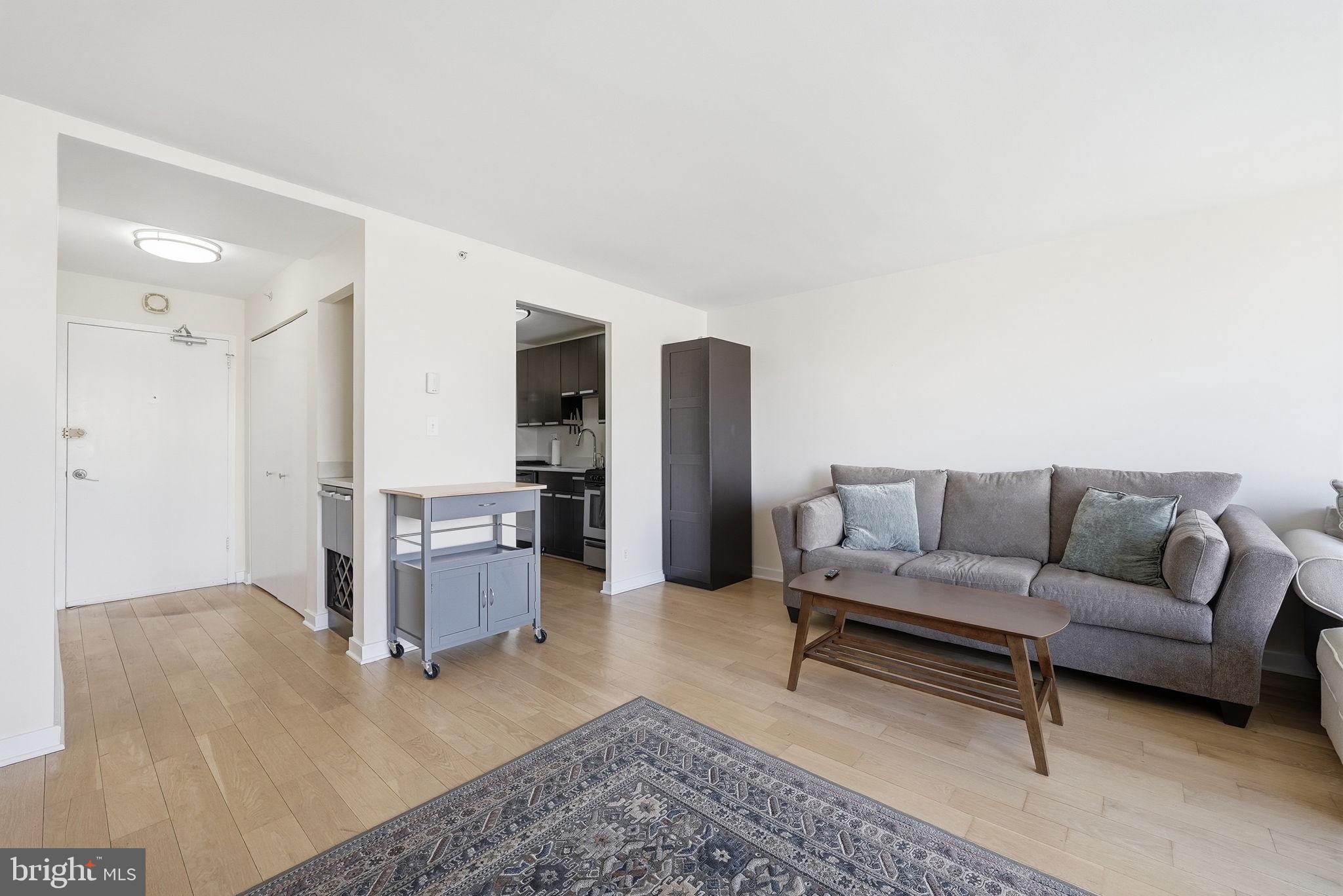 1101 3rd Street Southwest, Unit 701 Washington, DC 20024 - Photo 4 of 18 a living room with furniture and a rug
