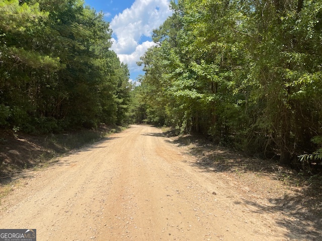Tract 3-and 4 Sheppard Road Franklin, GA 30217 - Photo 2 of 2 a view of a yard with a tree