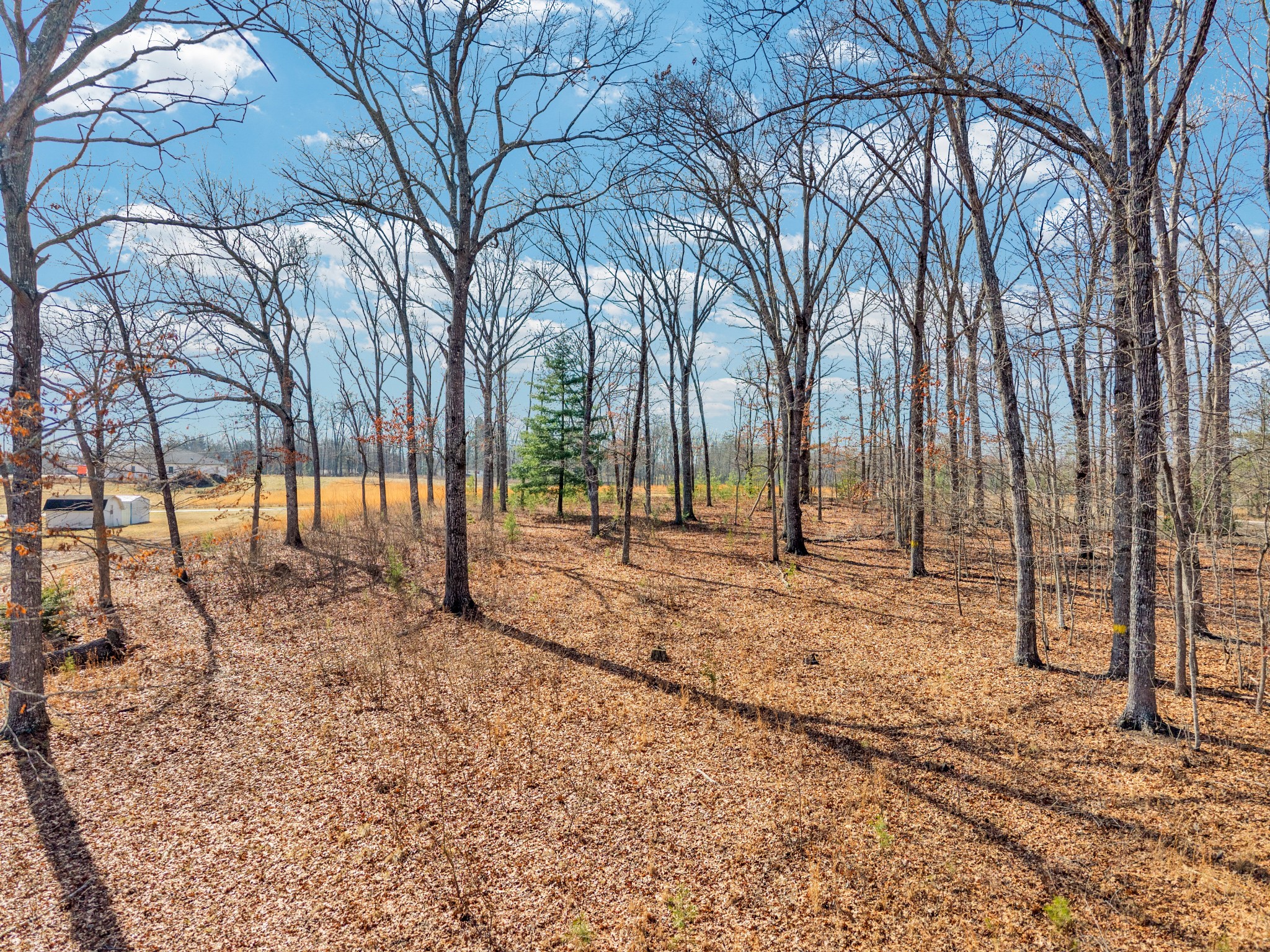 0 Peavine Road Crossville, TN 38571 - Photo 2 of 7 Gallery Image 2