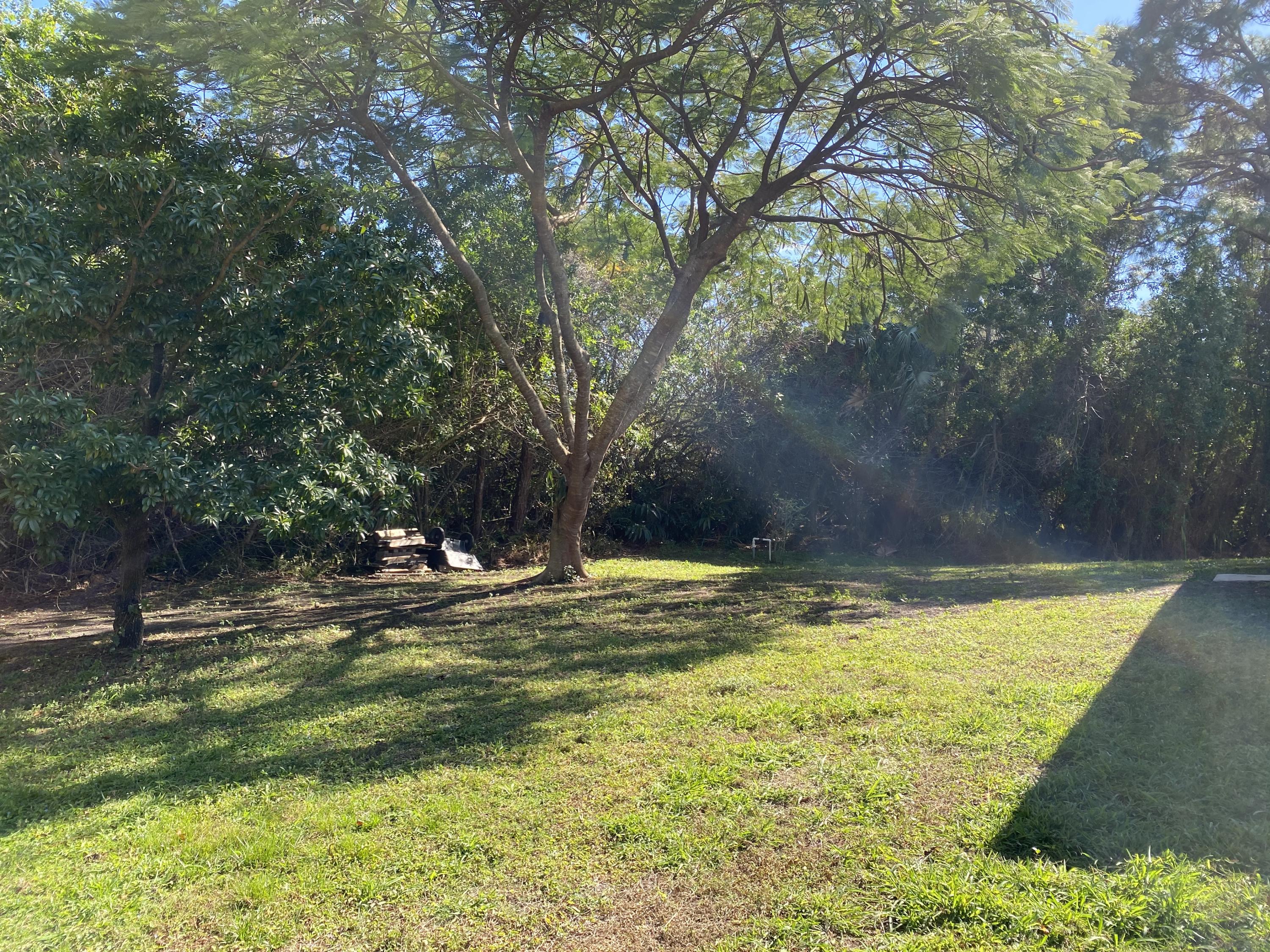 5300 Seagrape Drive Fort Pierce, FL 34982 - Photo 25 of 25 Back Yard Views
