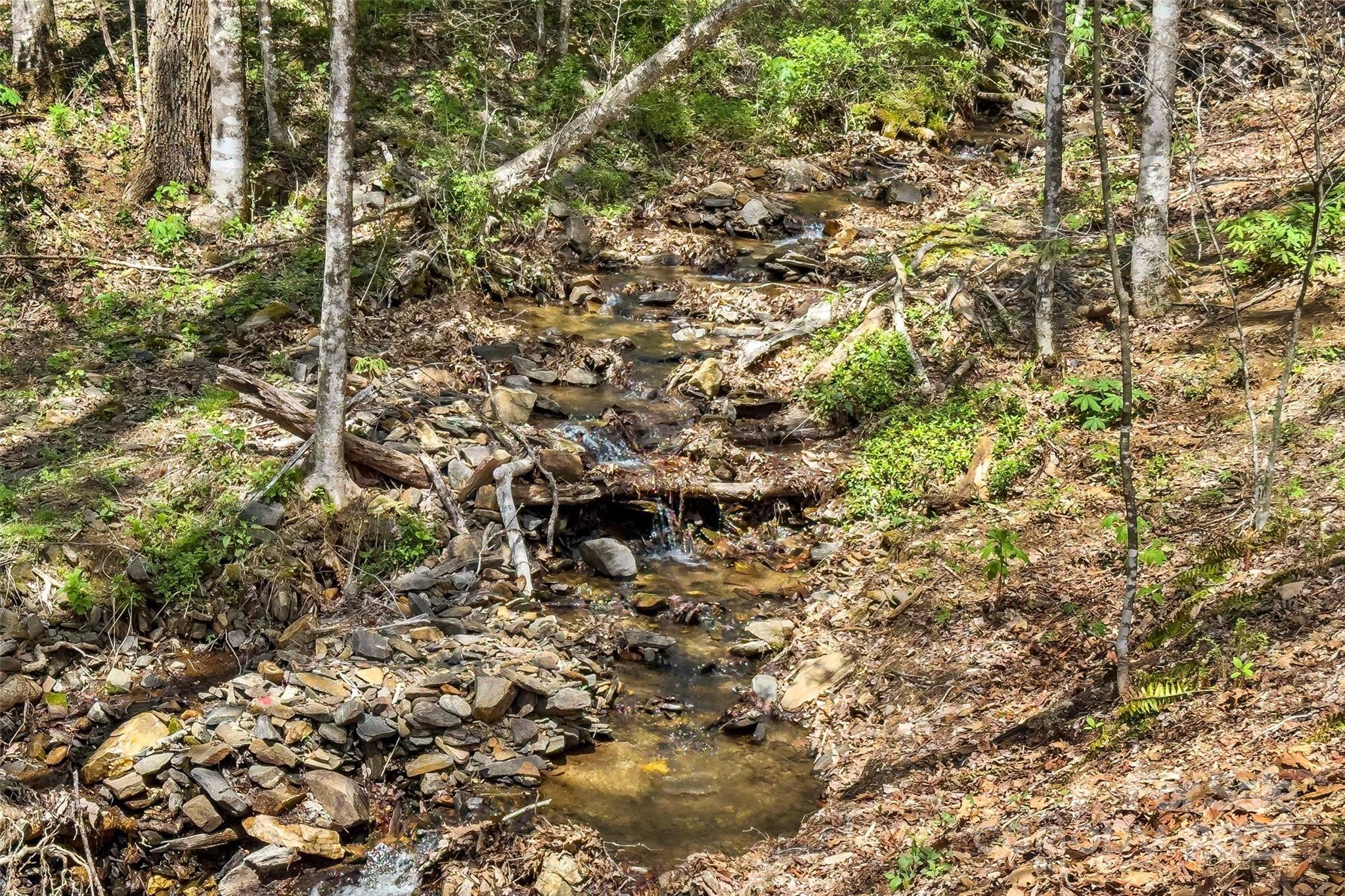 580 Red Dirt Road Newland, NC 28657 - Photo 3 of 48 a view of a house with a tree