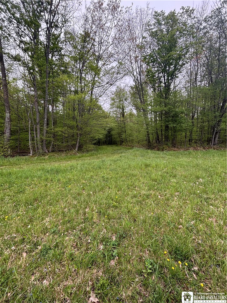 Fulmer Valley Road Wellsville, NY 14895 - Photo 41 of 49