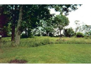 1086 Forest Lake Road Montrose, PA 18801 - Photo 8 of 8