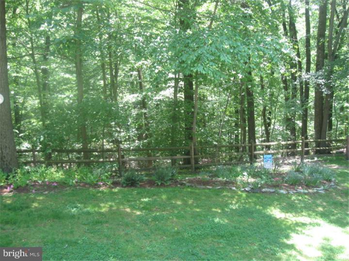 333 Greene Road Berwyn, PA 19312 - Photo 24 of 24 Back Yard