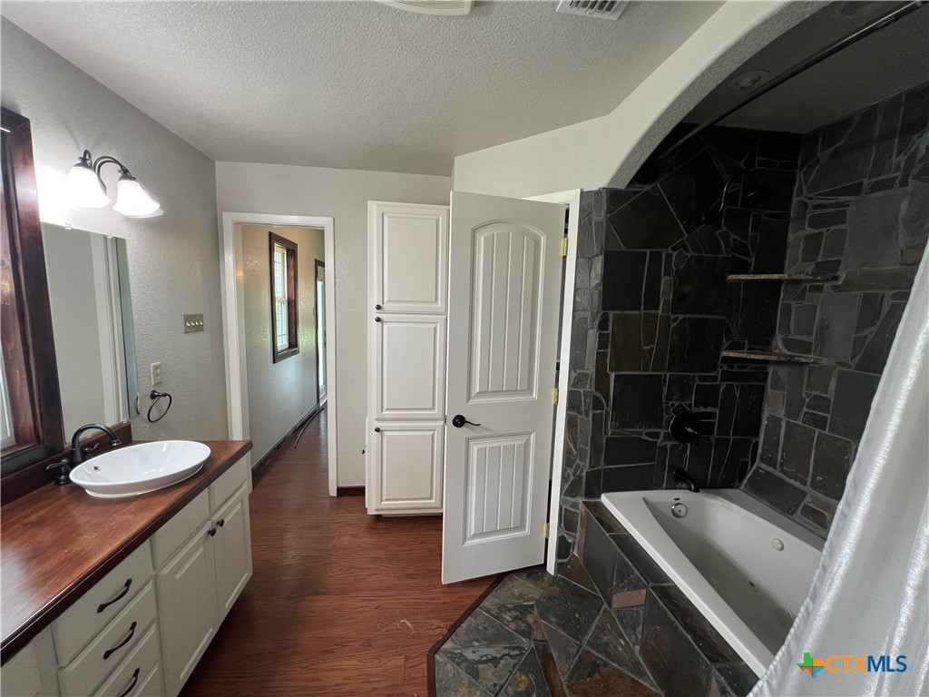 2955 East Amity Road Salado, TX 76571 - Photo 11 of 19 a bathroom with a sink a toilet and shower