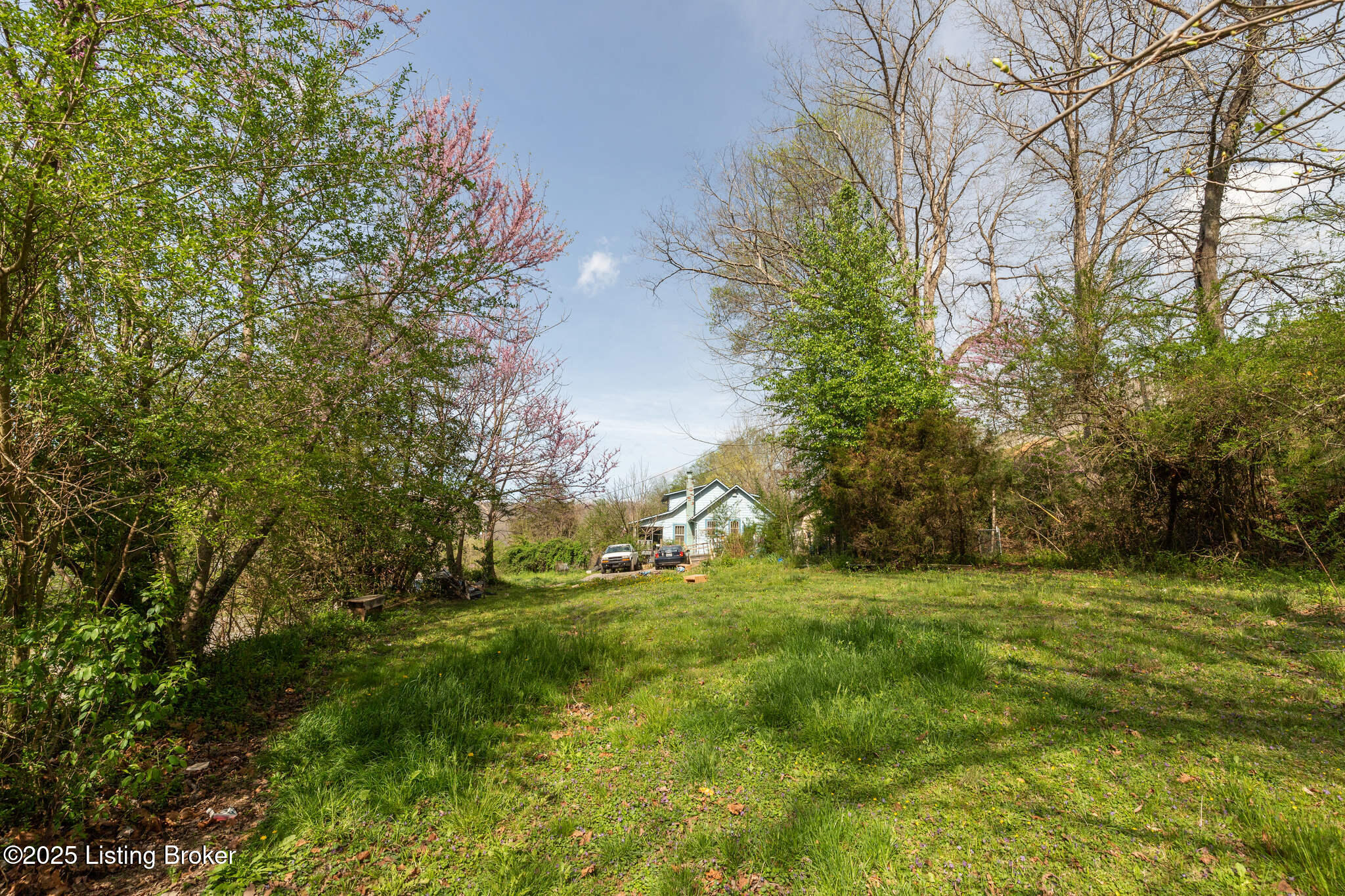 1157 Old Bell High Road Pineville, KY 40977 - Photo 3 of 15 3