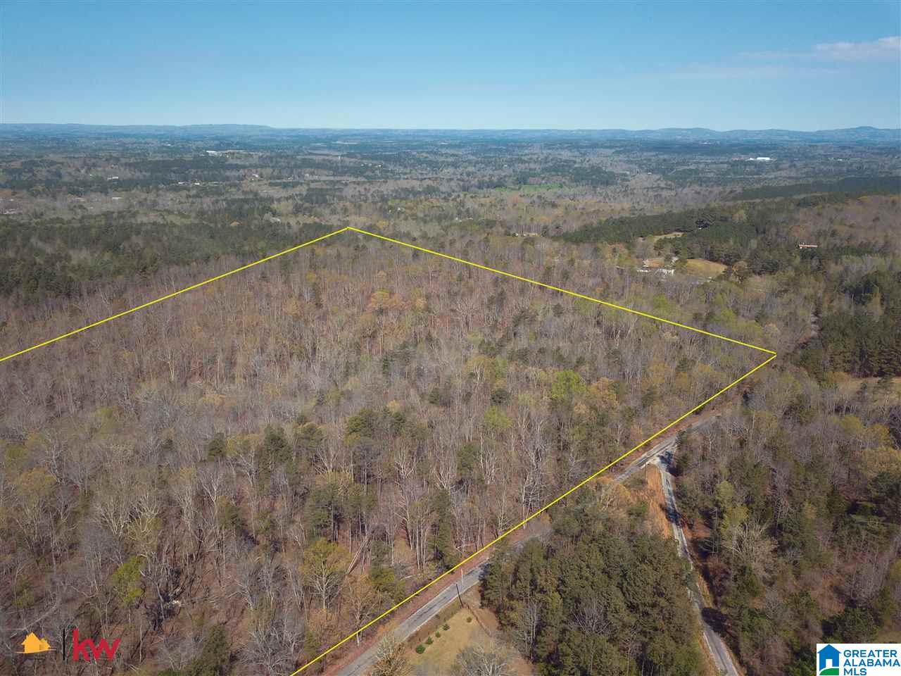0 Powell Road Remlap, AL 35133 - Photo 17 of 19
