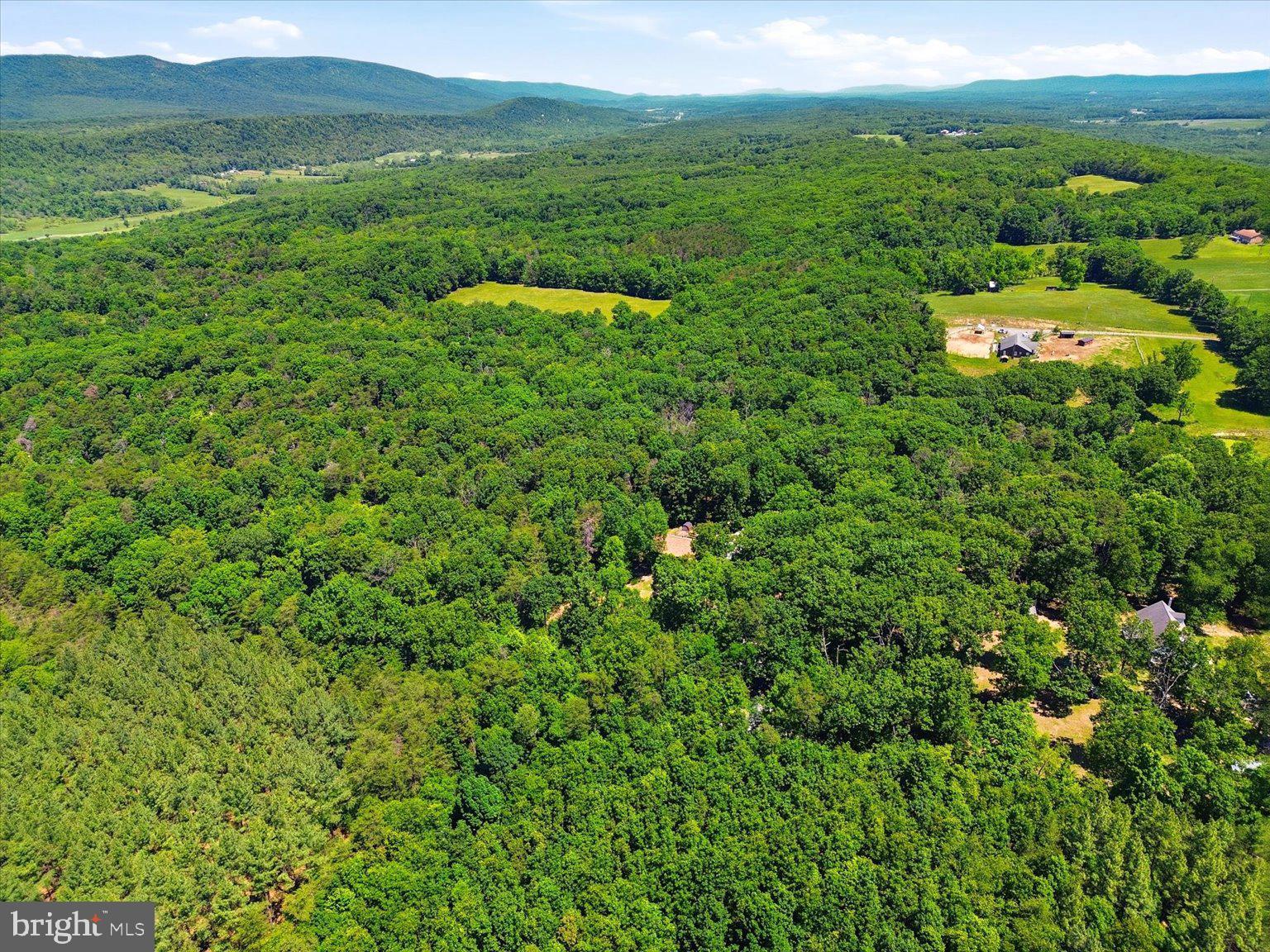 323 South Timber Ridge Road Cross Junction, VA 22625 - Photo 101 of 109 Lush green landscape under blue skies.