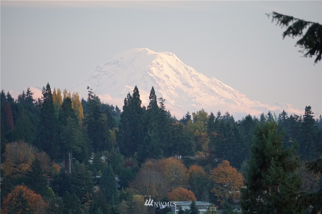 17310 Sylvester Road Southwest Burien, WA 98166 - Photo 25 of 25 Gallery Image 25